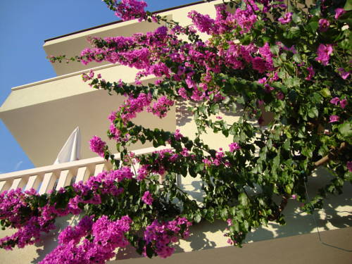 Baška Voda Kroatien Europe Hotel Promo-Code Booking.com