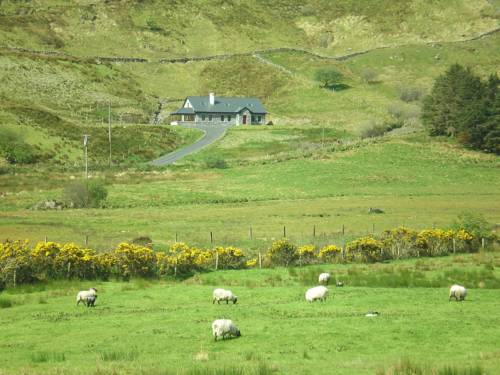 Galway Irland Europe Aktionscode Booking.com